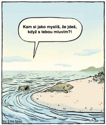 evoluce_vysvetlena.jpg
